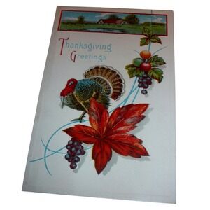 Vintage‎ Thanksgiving Greetings Postcard Embossed Turkey Autumn Leaves USA 524